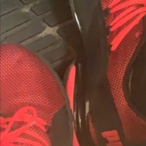 Meet your Posher, Frankie